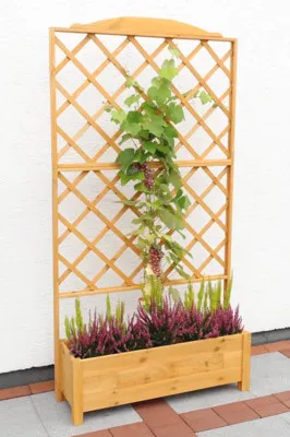 Produktbild von Pflanzkübel Botanica Kiefer imprägniert 110 x 32 x 210 cm braun inkl. Rankgitter