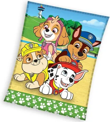 Zdjęcie produktu dla Carbotex kocyk polarowy dla niemowląt Paw Patrol - zielony