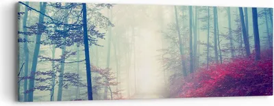 Produktbild von Bild auf Leinwand - Leinwandbild - Wald Baum Natur - 90x30cm - Wand Bild - Wanddeko - Wandbilder - Leinwanddruck - Bilder - Kunstdruck - Wanddekoration - Leinwand bilder - Wandkunst - AB90x30-3667