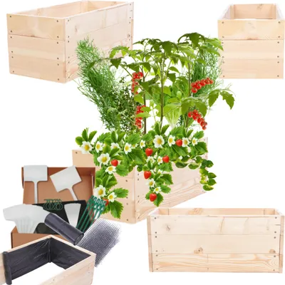 Produktbild von MODO24 Hochbeet Holz, Pflanzkasten, Massivholz, Kiefer, Kräuterbeet, Blumenkasten, Garten, Terrasse, 27x63x30 cm, Natur, ZP06