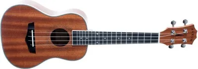 Immagine prodotto di Freccia MH10 Sapele PLUS