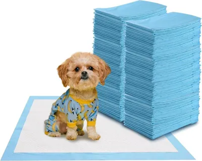 A small dog wearing pajamas sits on a training pad next to a large stack of training pads.