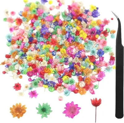 Produktbild von Famanu Kleine getrocknete Blumen für DIY-Projekte - 300 Stück