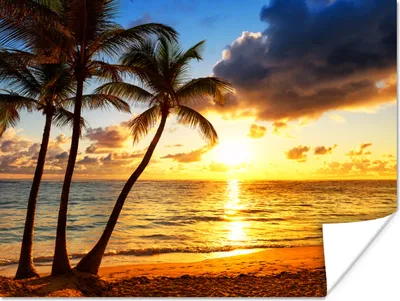 Produktbild von MuchoWow® Poster Strand - Horizont - Sonnenuntergang - Palme - Meer 160x120 cm - Foto Plakat