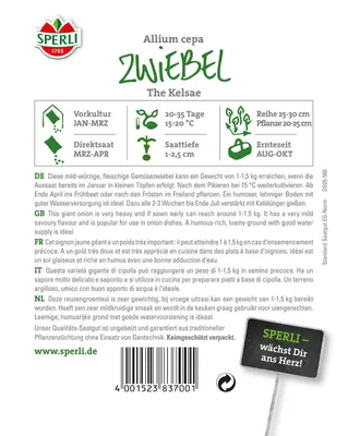 Produktbild von Zwiebel The Kelsae, Riesengemüsezwiebel | Zwiebelsamen von Sperli