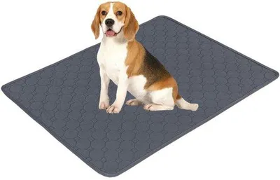 Image de Lot de deux grands tapis absorbants pour chats et chiens, housse de protection pour matelas d'animaux (chats, chiens et petits animaux), adaptée aux chiens, chats et petits animaux (150 x 90 cm) XL - Gris