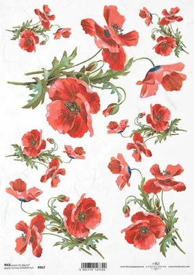Produktbild von ITD Reispapier Decoupage Bastelpapier Softpapier Serviettentechnik, R0957 Mohnblumen