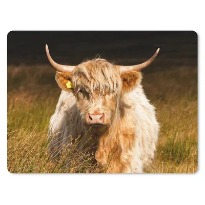 Produktbild von MuchoWow® Mauspad Mousepad Schottische Highlander - Licht - Gras - Tiere 23x19 cm - Mousepads - Maus Mat - Pad - Mausunterlage - Schreibtischunterlage - Mauspad