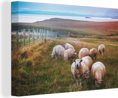Produktbild von OneMillionCanvasses® - Leinwandbilder - 140x90 cm, Schafe - Landschaft - Irland, Wandbilder Kunstdruck Wanddekoration