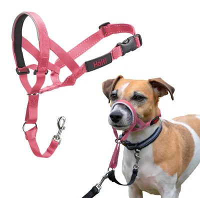 Immagine prodotto di Fascia per cani Halti, taglia 1, colore rosa