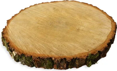 Produktbild von Baumscheiben 1 Stk. Dekoholz Holzscheibe Holzplatte 40 - 45 cm