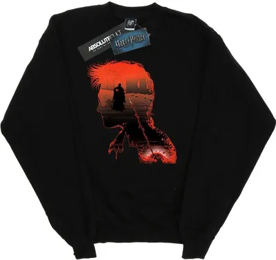 Produktbild von Harry Potter - Sweatshirt für Herren BI27808 (S) (Schwarz)