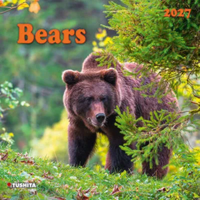 Immagine prodotto di Bears 2027