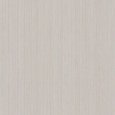 Obrázek produktu pro A.S. Creation | The BOS | 388195 | netkané tapety | hladké | 0,53 x 10,05 m | šedé | obývací pokoj | chodba | kancelář | kuchyně | obývací pokoje
