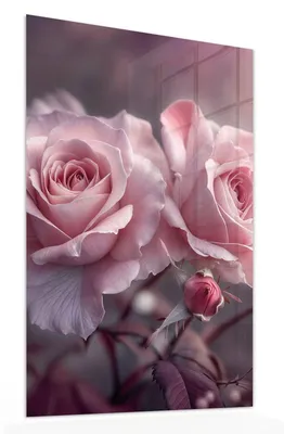 Produktbild von Glasbild 60x90cm in XXL für Wohnzimmer, Schlafzimmer Motiv Romantische Rosen