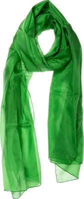 Produktbild von Seidenschal Halstuch Schal XXL Grün Minzgrün Minze Seide 180x90cm