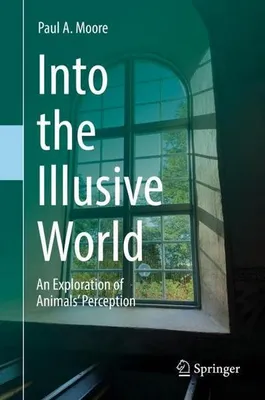 Produktbild von Into the Illusive World