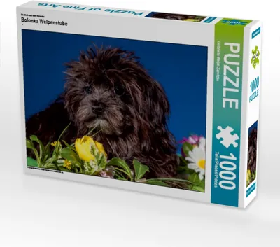Produktbild von Calvendo Ein Motiv aus dem Kalender Bolonka Welpenstube 1000 Teile Puzzle quer 640x480mm, Wejat-Zaretzke Gabriela; 7277060