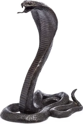 Produktbild von Bronzeskulptur Bronze Skulptur Schlange Kobra Cobra Statue Bronzefigur 28cm