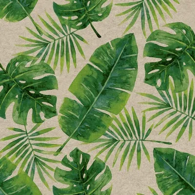 Produktbild von RP 25 Servietten nachhaltig Tropical Leaves - Tropische Regenwaldblätter 33x33cm