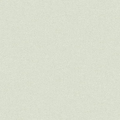 Produktbild von A.S. Creation | Attractive 2 | 390402 | Vliestapete | Einfarbig | 10.05 x 0.53 m | Grün | Wohnzimmer | Flur | Büro | Küche | Wohnräume