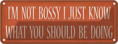 Produktbild von vianmo Blechschild 10x27 cm i`m not bossy i just know what Dekoration