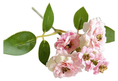 Produktbild von Künstliche Rosen, 6 künstliche Seidenrosen, realistische Blüten, ideal für Zuhause, Hochzeiten, Partys, als Tischdekoration.