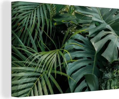 Produktbild von OneMillionCanvasses® - Leinwandbilder - 150x100 cm, Pflanzen - Dschungel - Blätter - Tropisch, Wandbilder Kunstdruck Wanddekoration - Foto auf Leinwand - Gemälde auf Holzrahmen