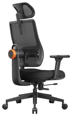 Immagine prodotto di Sedia da ufficio ergonomica – Sedia da ufficio con supporto lombare automatico e struttura a rete