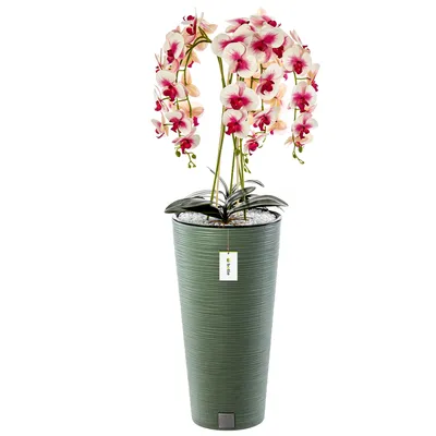 Imagen del producto de Macetas de pie, maceta redonda, diámetro 30 cm, altura 57,5 cm, color verde oscuro. Maceta interior, maceta para flores "Meißel", maceta de plástico con inserto