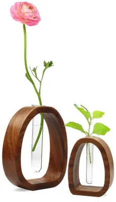 Imagen del producto de Azomor®: Tubos de vidrio decorativos con soporte de madera para flores y plantas
