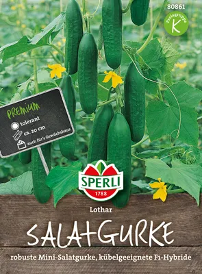 Produktbild von Gurke Lothar F1-Hybride | Gurkensamen von Sperli