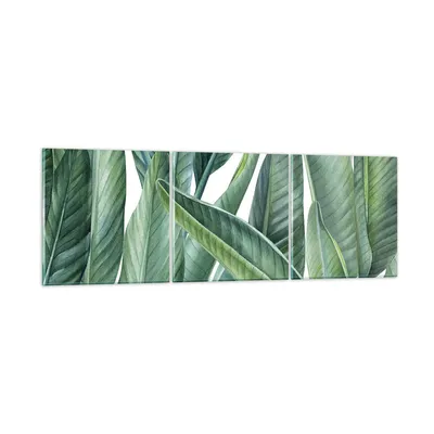 Produktbild von Bilder auf glas - 3 Teile - Exotisch Blätter Grün - 150x50cm - Glasbilder - Wandbilder - Bilder - zum Aufhängen bereit - Wanddekoration aus Glas - Glas Bilder - Wandbild auf Glas - GCA150x50-4258