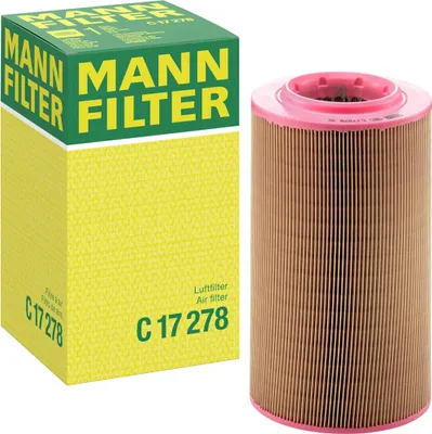 Image de Filtre à air MANN-FILTER C 17 278
