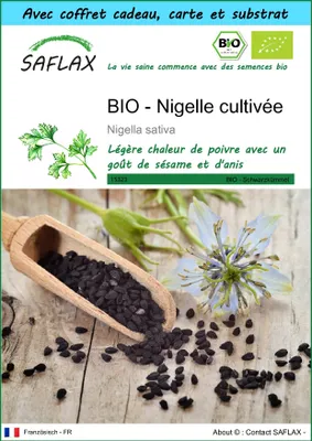 Image de SAFLAX Ensemble-cadeau -- Nigelle cultivée - 300 graines - Nigella