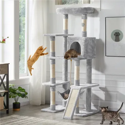 Several cats interact with a multi-level cat tree in a well-lit room with a window.