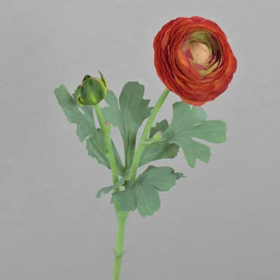 Produktbild von artplants.de Kunstblume Ranunkel CADISS, orange, 40cm - Künstliche Blume