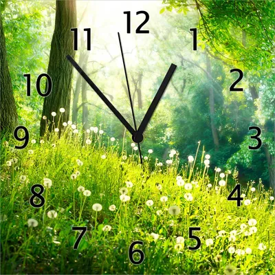 Produktbild von Wallario Design Wanduhr Pusteblumen im Wald mit einfallenden Sonnenstrahlen aus Echtglas, Größe 30 x 30 cm
