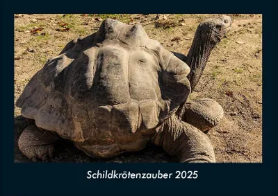 Produktbild von Schildkrötenzauber 2025 Fotokalender DIN A4