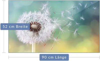 Produktbild von Herdabdeckplatte Abdeckung Glaskeramikfeld Abdeckplatte 1-Teilig 90x52 Pusteblume Glas