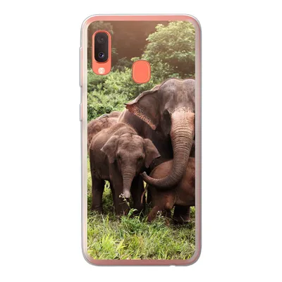 Produktbild von MuchoWow® Handyhülle Schutzhülle Hülle für Samsung Galaxy A20e Elefant - Tiere - Wald - Gras - Grün Silikon Softcase Handy Hülle - Abdeckung