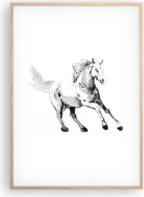Produktbild von Gerahmtes Poster - Rahmen in heller Eiche - Pferd Galopp Tier - 70x100 cm - Wand Bild - Wanddeko - Wandbilder - Kunstposter - Wandposter - Bilderrahmen - Bilder - Kunstdruck - P2NPA70x100-5117