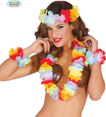 Produktbild von Hawaii-Stirnband-Halskette, bunte Blumen-Set