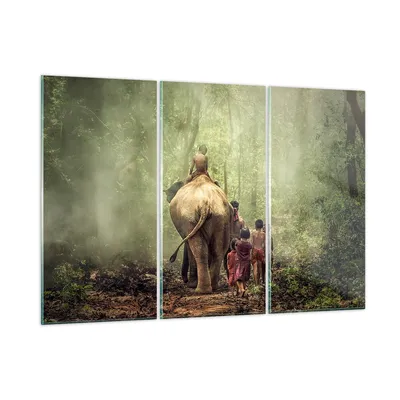 Produktbild von Bilder auf glas - Elefant Dschungel Nebel - 105x70cm - Glasbilder - Wandbilder - Kunstdruck - zum Aufhängen bereit - Wanddekoration aus Glas - Glas Bilder - Wandbild auf Glas - GCE105x70-3438