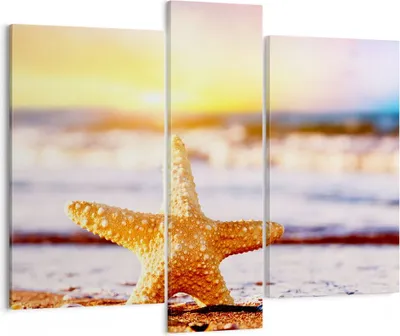 Produktbild von Bild auf Leinwand - Leinwandbild - Starfish Strand Sand Ozean - 95x80cm - Wand Bild - Wanddeko - Leinwanddruck - Bilder - Kunstdruck - Wanddekoration - Leinwand bilder - Wandkunst - CB95x80-2815