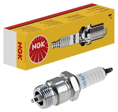 Imagen del producto de Bujía NGK, modelo 2922
