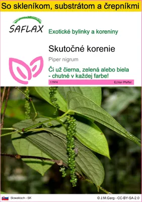 Obrázok produktu pre SAFLAX Kultivačný set - skutočné korenie - Piper nigrum - 20 Semená - S mini skleníkom, pestovateľským substrátom a 2 črepníkmi
