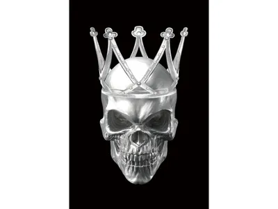Image de Tableau - Tête de mort - L 120 x l 80 x H 0,4 cm
