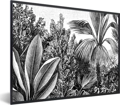 Produktbild von MuchoWow® Gerahmtes Poster Pflanzen - Natur - Gestaltung - Illustration - Ernst Haeckel 80x60 cm - Poster mit Schwarzem Bilderrahmen Wandposter Rahmen Foto Bilder - Schwarzem - Mit Gestell