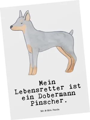 Produktbild von Mr. & Mrs. Panda Ansichtskarte Dobermann Pinscher Lebensretter - Weiß - Geschenk, Fotokarte, Grußkarte, Kunstkarten, Postkarten, Postkarte, Ansichtskarten
